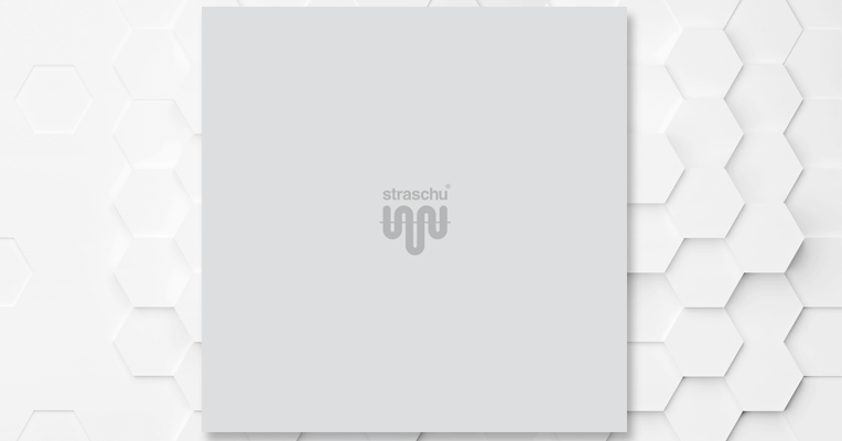 Deckblatt der Imagebroschüre mit hellem straschu Logo