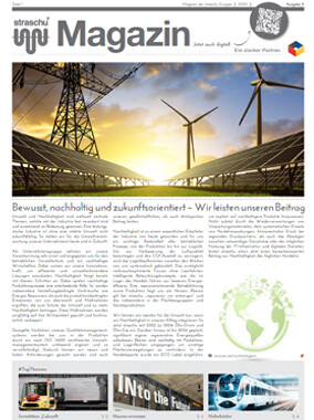 Cover des straschu Magazins Ausgabe 11